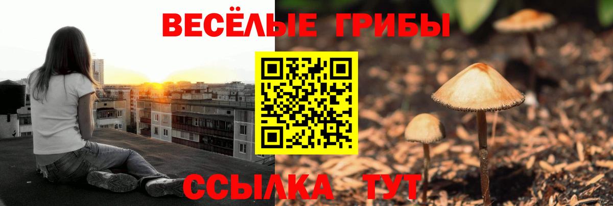 Псилоцибиновые грибы Psilocybe  как найти   Орск  Вход с VPN 